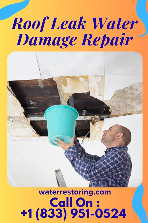 Roof Leak Water Damage Repair in Mallard, IA